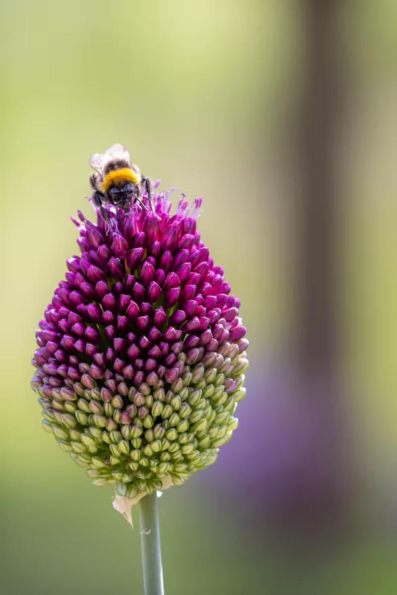 1D6A7197.jpg