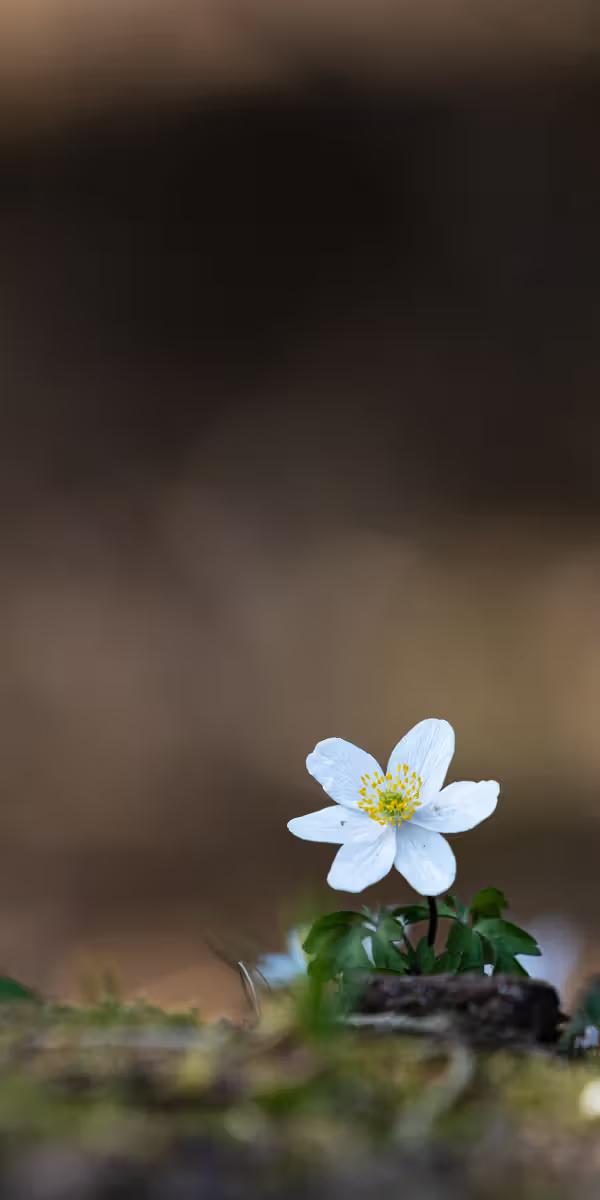 1D6A5303-2.jpg