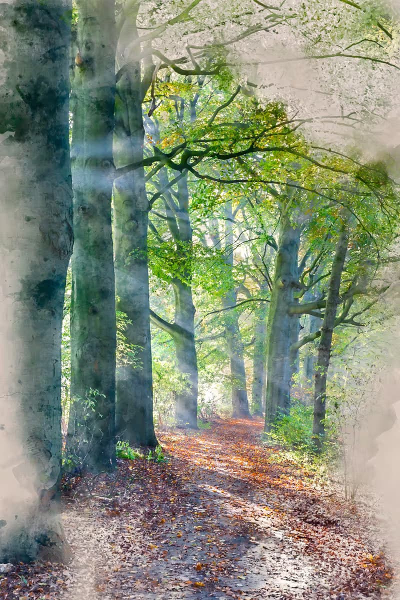 herfst 2.jpg